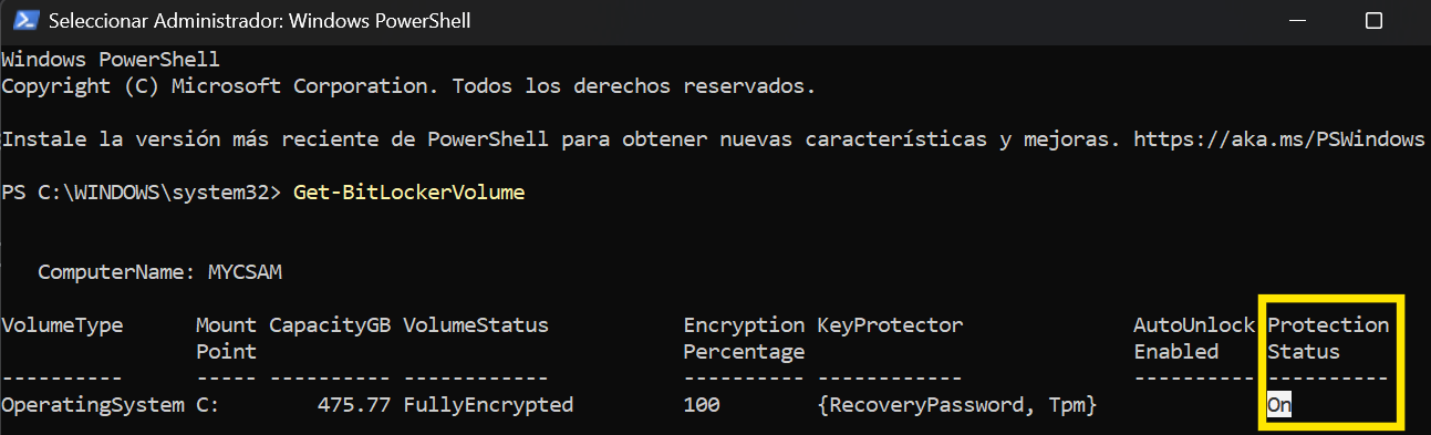 Ejemplo de resultado en PowerShell